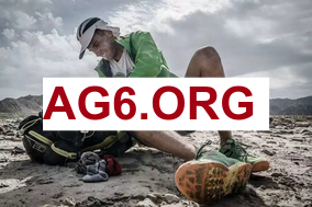 德甲看点场次：科隆 vs 波鸿